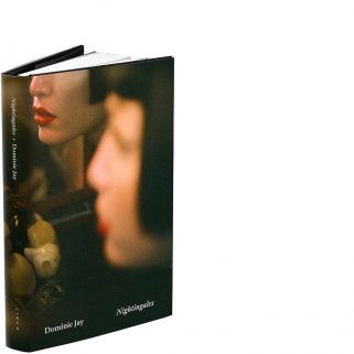 Cover for Nightingales